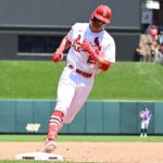 logo pochodového šialenstva