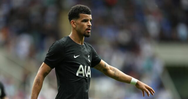 Dominic Solanke prelomil mlčanie o zranení s Tottenhamom po aktualizácii Dominic Solanke počas predsezónneho priateľského zápasu medzi Readingom a Tottenhamom Hotspur.