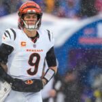 logo pochodového šialenstva