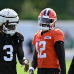 logo pochodového šialenstva