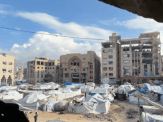 Islamská univerzita v Gaze obnovuje vyučovanie na mieste uprostred izraelského ničenia | Správy o konflikte medzi Izraelom a Palestínou Islamská univerzita v Gaze obnovuje vyučovanie na mieste uprostred izraelského ničenia | Správy o konflikte medzi Izraelom a Palestínou