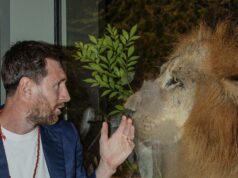 KOZA sa stretáva s levom: Messi navštevuje centrum ochrany voľne žijúcich živočíchov Vantara a nazýva to „skutočne pôsobivé“ KOZA sa stretáva s levom: Messi navštevuje centrum ochrany voľne žijúcich živočíchov Vantara a nazýva to „skutočne pôsobivé“