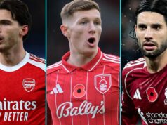 Každý hráč sezóny PL klubu zahŕňa štyroch hráčov, ktorých predal Newcastle Každý hráč sezóny PL klubu zahŕňa štyroch hráčov, ktorých predal Newcastle