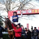 Jukebox Man - vlastnený Harrym Redknappom - získal víťazstvo King George Chase VI