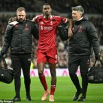 Útočník Liverpoolu Alexander Isak sa podrobil operácii zlomeniny ľavej nohy
