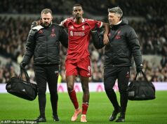 Liverpool utrpel zdrvujúcu ranu zranenia Alexandra Isaka: 125 miliónov libier hviezda čaká mesiace po operácii zlomeniny nohy Útočník Liverpoolu Alexander Isak sa podrobil operácii zlomeniny ľavej nohy