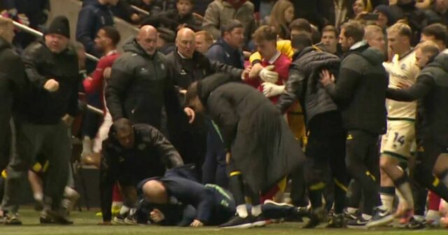 Majstrovský chaos, keď Bristol City vs Millwall končí masívnou bitkou | Futbal | Šport
