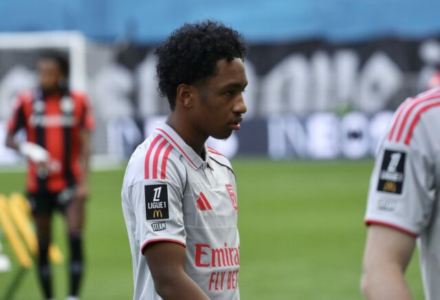 Download app from appStore