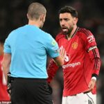 Daily Mail Sport chápe, že funkcionári Man United majú pocit, že v tejto sezóne boli pri viacerých príležitostiach na nesprávnom konci veľkých hovorov, a preto sa budú snažiť o stretnutie s Howardom Webbom.