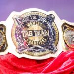 "Nie som oficiálne prijatá" - 3-násobná šampiónka ženského tagu hovorí, že nie je späť vo WWE