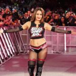 Nikki Bella zdieľa masívne vyhlásenie o kariére po strate Survivor Series