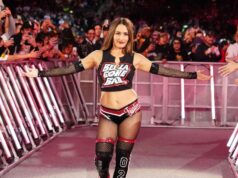 Nikki Bella zdieľa masívne vyhlásenie o kariére po strate Survivor Series Nikki Bella zdieľa masívne vyhlásenie o kariére po strate Survivor Series
