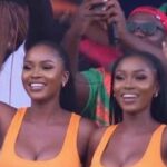 Obrázok AI fanúšikov Zambie