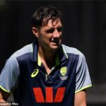 Pat Cummins je zasiahnutý novým neúspechom pred Svetovým pohárom T20 po zranení chrbta, ktoré takmer vymazalo jeho sériu Ashes