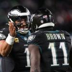 logo pochodového šialenstva