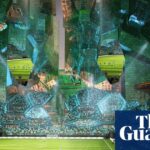 Plány štadiónov Saudskej Arábie na majstrovstvá sveta 2034 čelia oneskoreniam a znižovaniu nákladov | Majstrovstvá sveta 2034