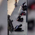 Polícia v Sydney zadržiava mužov pre možný „násilný čin“ | Newsfeed