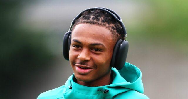 Prem klub „poskytne starostlivosť“ bratovi Ethana McLeoda, keď futbalista zomrel Ethan McLeod