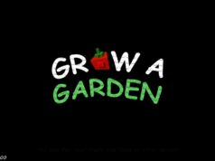 Rarita, ako ju získať a ďalšie Firework Fern Seed je možné zakúpiť v obchode so semenami (obrázok cez Roblox)