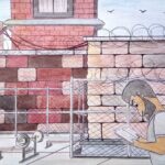 Ropovod z väzenia do školy: Prečo sloboda za mrežami začína mysľou | Väzenie