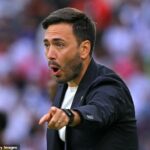 Davide Ancelotti opustil svoju prvú manažérsku úlohu len niekoľko mesiacov po príchode do brazílskeho Botafoga