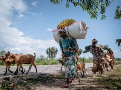 Týždeň v obrazoch: Od stretov medzi Kambodžou a Thajskom po protesty v Grécku | Správy z Gazy Týždeň v obrazoch: Od stretov medzi Kambodžou a Thajskom po protesty v Grécku | Správy z Gazy