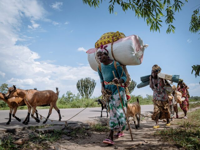 Týždeň v obrazoch: Od stretov medzi Kambodžou a Thajskom po Týždeň v obrazoch: Od stretov medzi Kambodžou a Thajskom po protesty v Grécku | Správy z Gazy