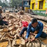 USA chcú predať GM sóju a kukuricu do Indie, farmári sú opatrní | Obchodná vojna