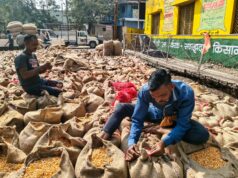 USA chcú predať GM sóju a kukuricu do Indie, farmári sú opatrní | Obchodná vojna USA chcú predať GM sóju a kukuricu do Indie, farmári sú opatrní | Obchodná vojna