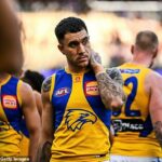 The West Coast Eagles vyšetrujú pouličnú bitku, do ktorej sa údajne zapojil hráč AFL Tyler Brockman