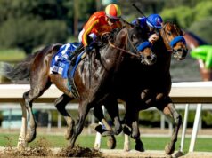 V deň otvorenia v Santa Anita dominujú kone Bob Baffert V deň otvorenia v Santa Anita dominujú kone Bob Baffert