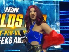 Ženská hviezda podstúpi operáciu roztrhnutého ACL, debutuje dvojnásobný šampión WWE, Mercedes Mone dostane správu od NSFW Ženská hviezda podstúpi operáciu roztrhnutého ACL, debutuje dvojnásobný šampión WWE, Mercedes Mone dostane správu od NSFW