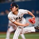 logo pochodového šialenstva