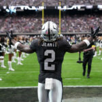 logo pochodového šialenstva