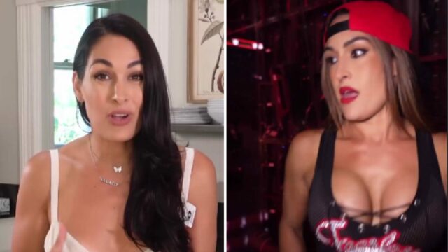 Brie Bella posiela správu po tom, čo špekulovaný priateľ hviezdy WWE Nikki Bella prehral hlavný zápas

