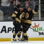 NHL: Nashville Predators v Bostone Bruins