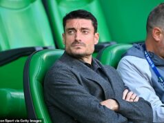 Bývalá hviezda Liverpoolu sa stala manažérom zápasiaceho tímu Bundesligy len niekoľko dní po tom, čo vypadli z Ligy majstrov Bývalý manažér Bordeaux Albert Riera bol vymenovaný za manažéra v Eintrachte Frankfurt