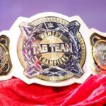 Bývalá šampiónka WWE Women's Tag Team údajne skončila s wrestlingom
