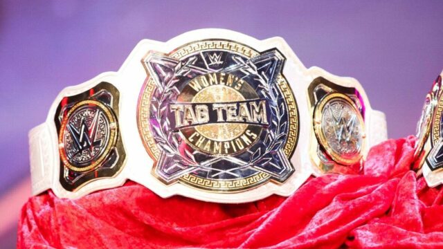 Bývalá šampiónka WWE Women's Tag Team údajne skončila s wrestlingom
