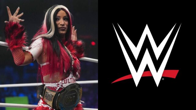 Komentár Moné k príspevku