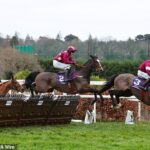 Akcia z Leopardstownu, kde sa budúci víkend uskutoční Dublinský dostihový festival