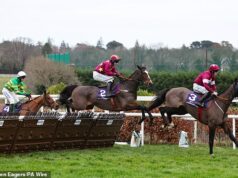 CALUM McCLURKIN: Odpočítavanie do Cheltenhamu je dokonalým rozptýlením, ktoré potrebuje každý pretekársky fanúšik… a môže to byť aj liek na TDS! Akcia z Leopardstownu, kde sa budúci víkend uskutoční Dublinský dostihový festival