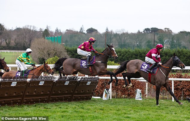 CALUM McCLURKIN: Odpočítavanie do Cheltenhamu je dokonalým rozptýlením, ktoré potrebuje Akcia z Leopardstownu, kde sa budúci víkend uskutoční Dublinský dostihový festival