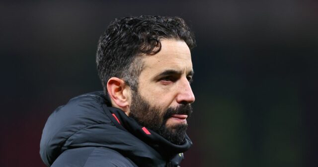 Harry Amass hrá za Sheffield Wednesday v decembri 2025