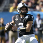 logo pochodového šialenstva