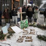 Guvernér Minnesoty chce, aby federálni imigrační agenti odišli po tom, čo zabil Prettiho | Správy o protestoch