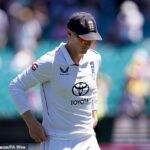 Harry Brook bol tak unesený pocitom vlastnej neporaziteľnosti, že stratil schopnosť rozoznať dobrú loptu od zlej a priniesť trochu úsudku.