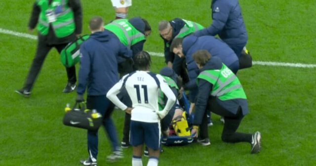 Hviezda Tottenhamu dostala kyslík a v zničujúcich obavách sa vzdialila Hviezda Tottenhamu dostala kyslík a v zničujúcich obavách sa vzdialila | Futbal | Šport