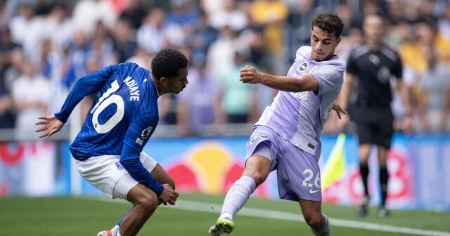 Je Brighton vs Everton v televízii? Priamy prenos, čas výkopu a rádio | Futbal | Šport
