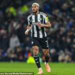 Stredopoliar Newcastlu vyzval majiteľov klubu, aby dodali infraštruktúru svetovej triedy, ktorá pomôže tímu rozvíjať sa